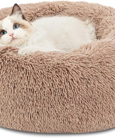 Cat Beds for Indoor Cats – Large Cat Bed Washable